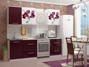 Кухня с фотопечатью Орхидея-1 МДФ 1700 (Миф)
